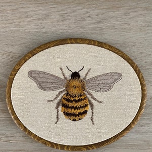 - Coralcurrentstore
